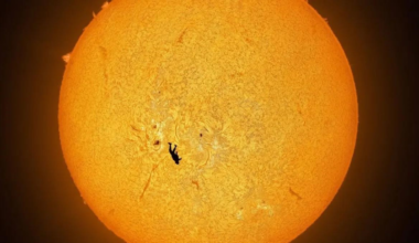 Fotografia inédita mostra pára-quedista em queda livre com o Sol ao fundo | Sol