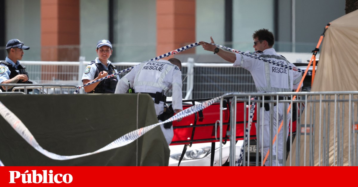 Autores do massacre em Bondi terão sido inspirados pelo grupo Estado Islâmico | Terrorismo