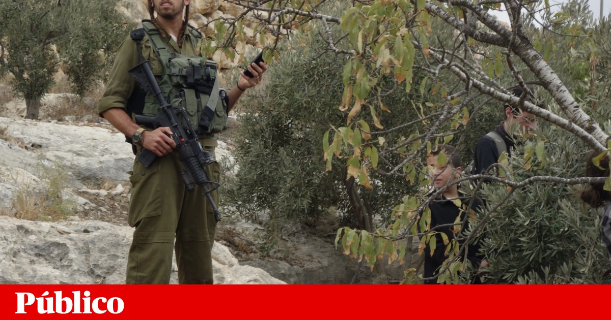 Adolescente de 16 anos morto por colono israelita na Cisjordânia | Médio Oriente
