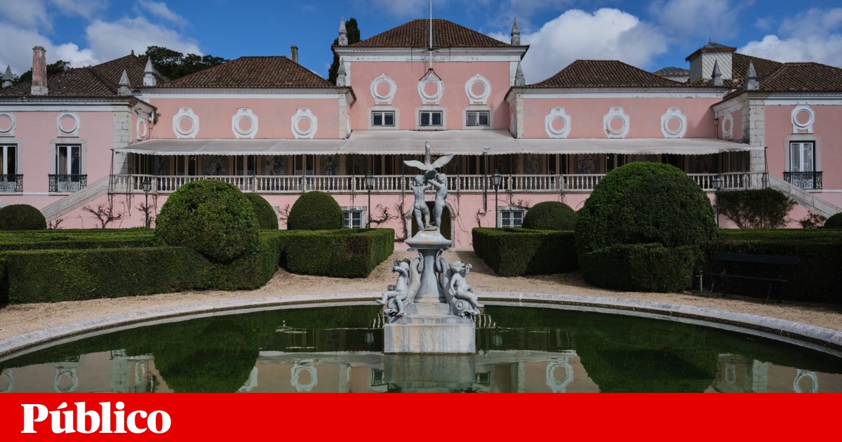 Presidenciais terão recorde de 14 candidatos. Quem é quem no boletim de voto | Presidenciais 2026