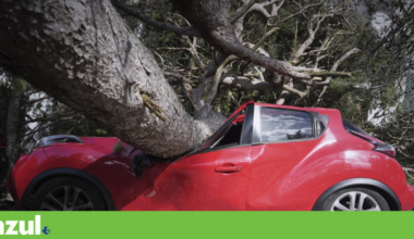 Foi 2025 o ano em que sentimos na pele as alterações climáticas? | Balanços 2025