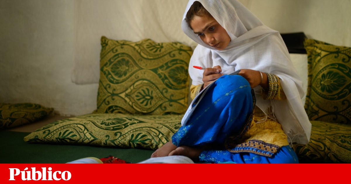 Menina afegã concentrada nos estudos é a foto do ano da Unicef | Afeganistão