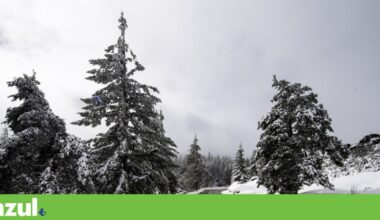 Inverno começa queda de neve, agitação marítima e aviso laranja em 11 distritos | Inverno