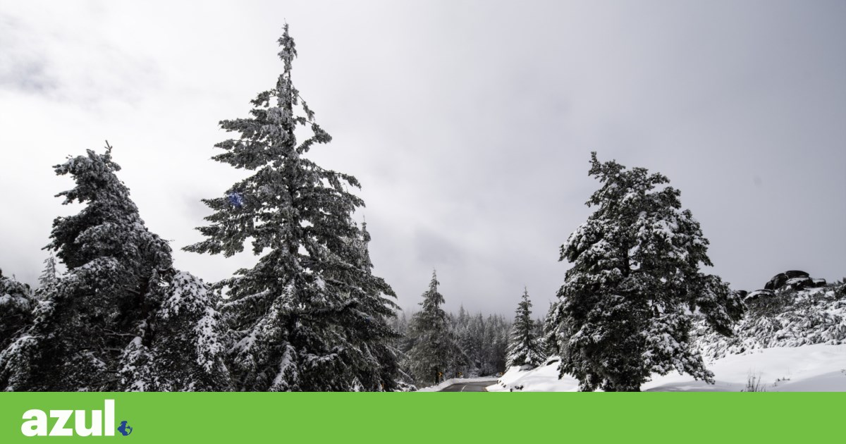 Inverno começa queda de neve, agitação marítima e aviso laranja em 11 distritos | Inverno