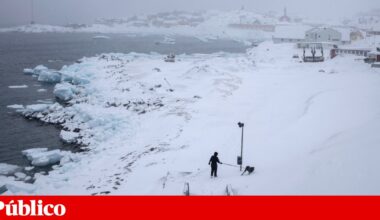 Numa nova investida, Trump nomeia um enviado especial para a Gronelândia | Gronelândia