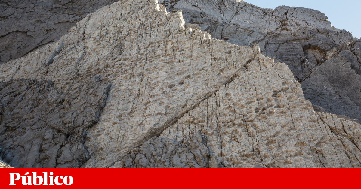 Milhares de pegadas de dinossauro encontradas perto do local dos Jogos Olímpicos | Paleontologia