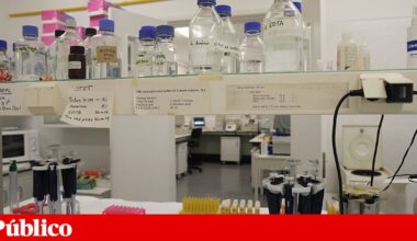 Publicado diploma de criação de nova agência científica que substitui a FCT | Política científica
