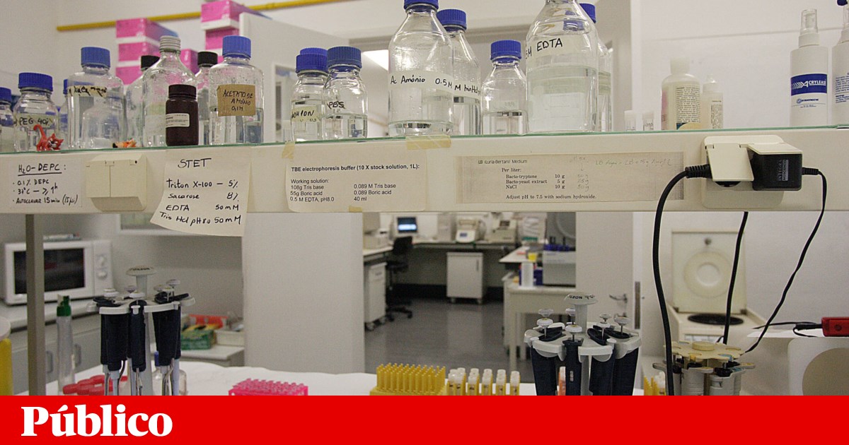 Publicado diploma de criação de nova agência científica que substitui a FCT | Política científica