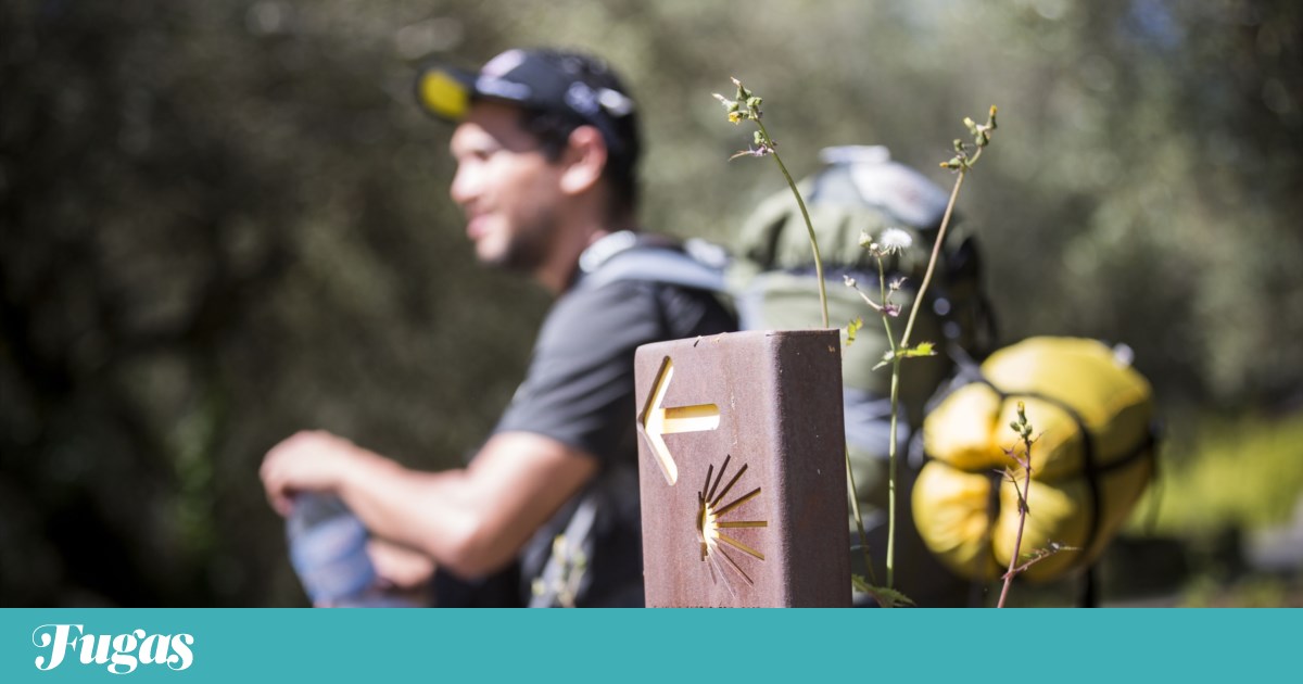 Galiza reconhece três caminhos culturais portugueses rumo a Santiago de Compostela | Caminhos de Santiago