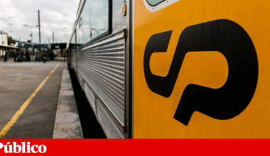 Comboio regional atropelou e matou 100 ovelhas em Montemor-o-Velho | Comboios