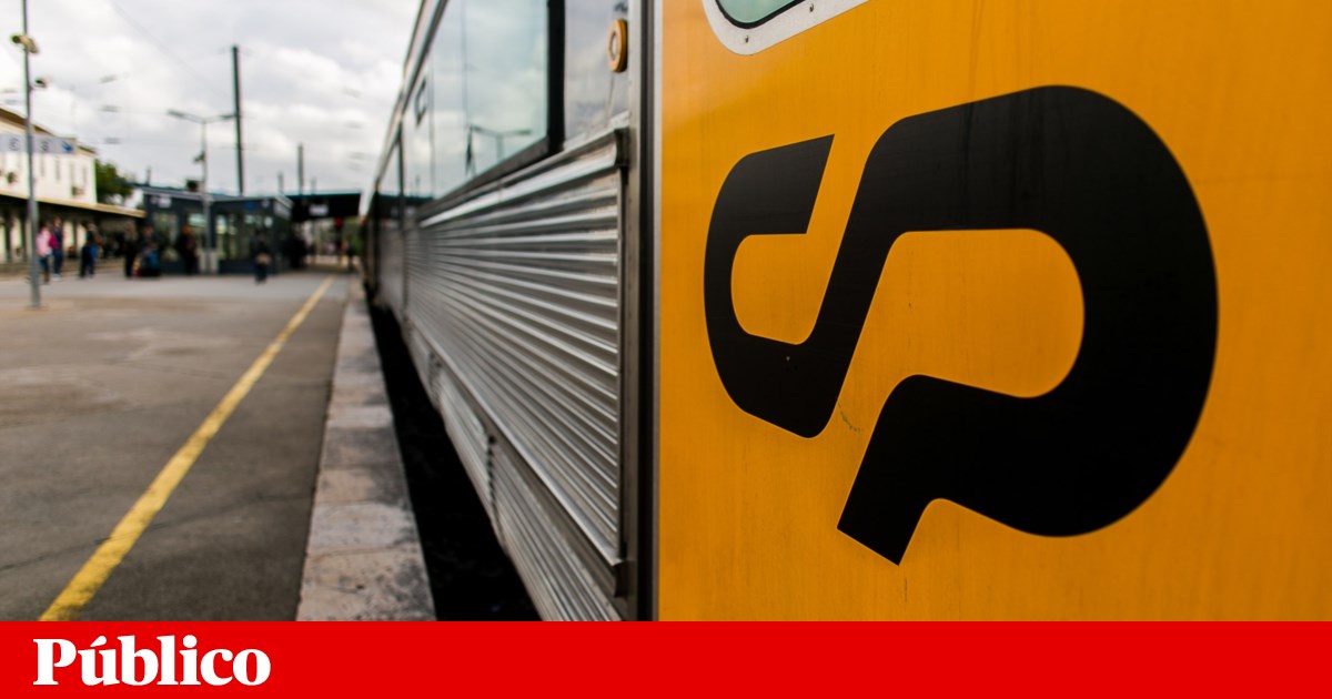 Comboio regional atropelou e matou 100 ovelhas em Montemor-o-Velho | Comboios