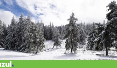 Fim de ano marcado por frio, geada e possibilidade de neve na Serra da Estrela | Meteorologia