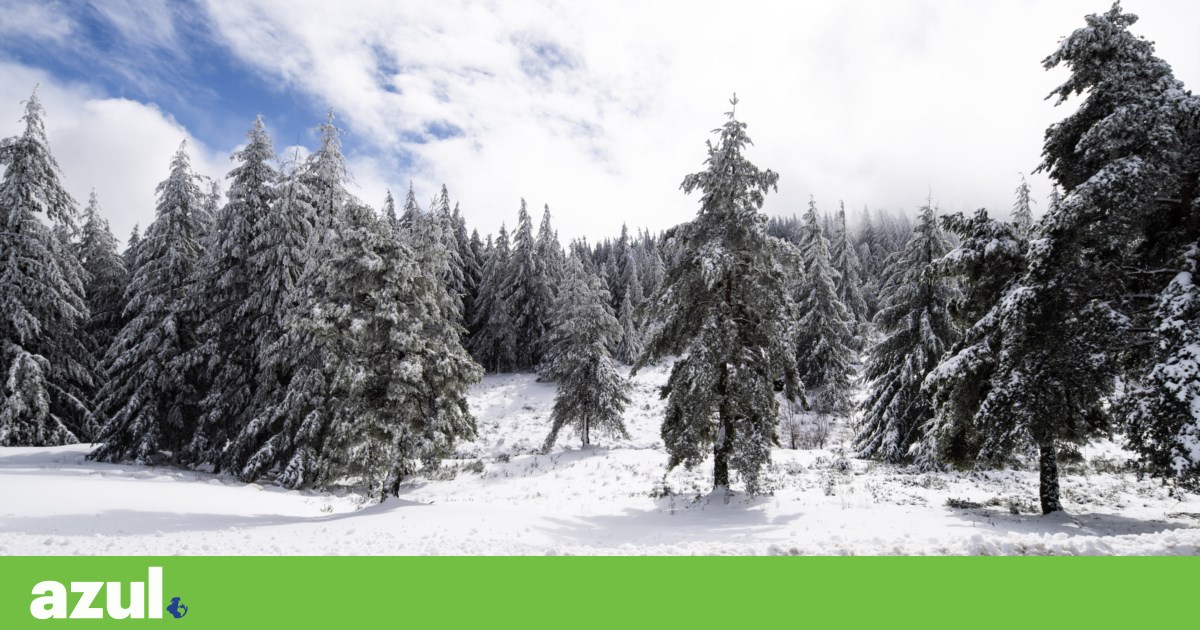 Fim de ano marcado por frio, geada e possibilidade de neve na Serra da Estrela | Meteorologia