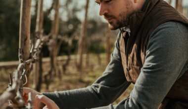 4 vinhos que deves oferecer a um apreciador exigente, dos 6 aos 54 euros