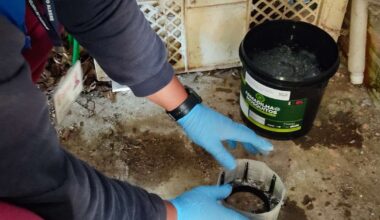 Período de viagens exige cuidados para evitar a dengue; veja orientações