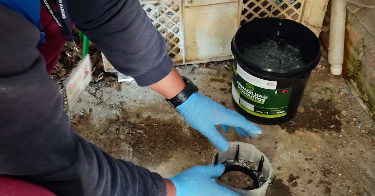 Período de viagens exige cuidados para evitar a dengue; veja orientações