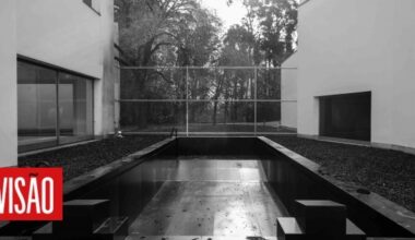 Piscina monumental de Anne Imhof marca primeira exposição da artista em Portugal, em Serralves