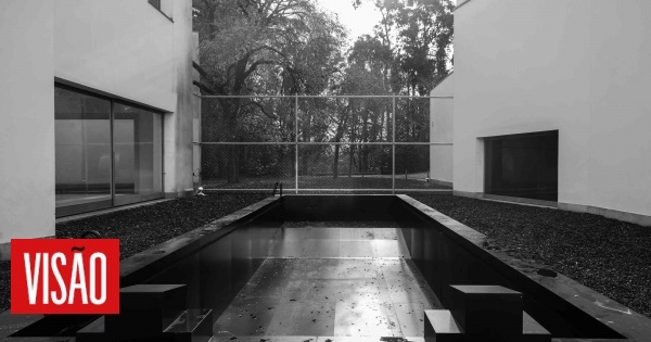 Piscina monumental de Anne Imhof marca primeira exposição da artista em Portugal, em Serralves