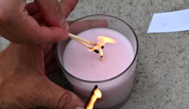 Jornal de Notícias Logo