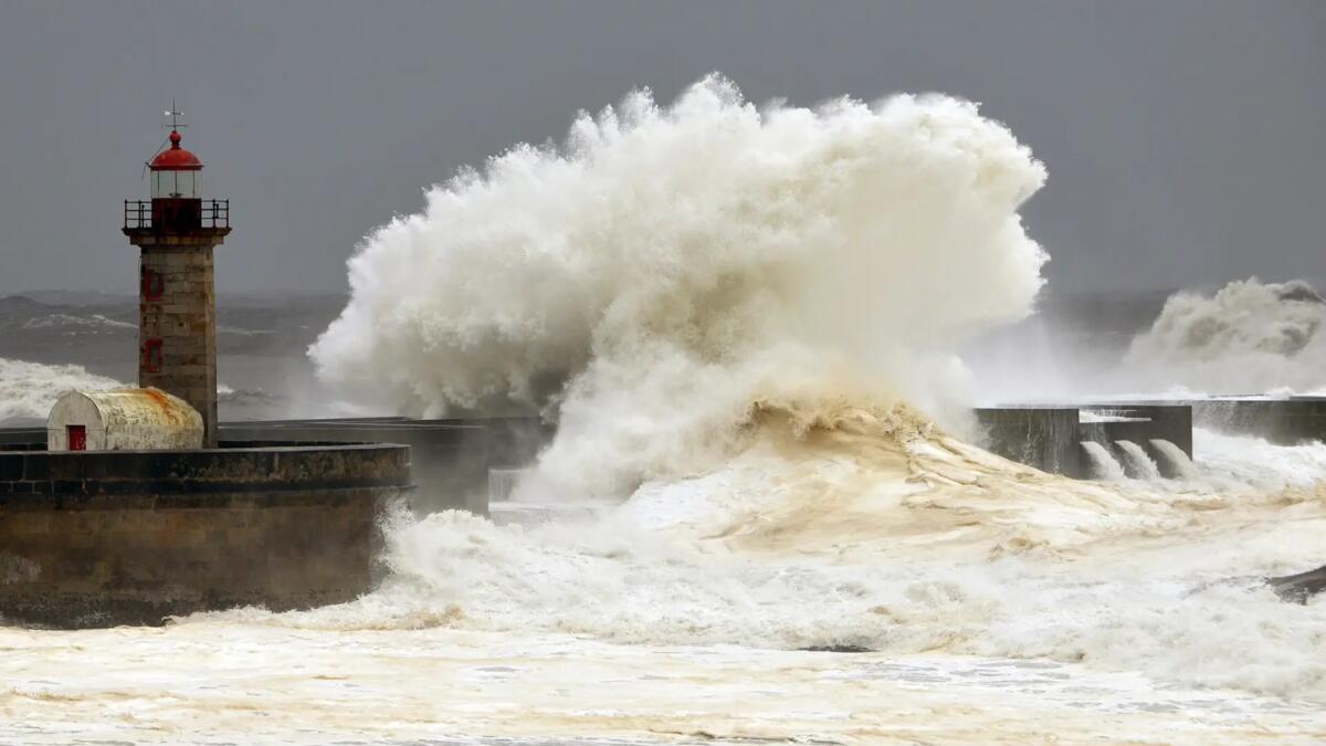 Jornal de Notícias Logo