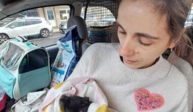 Jornal de Notícias Logo