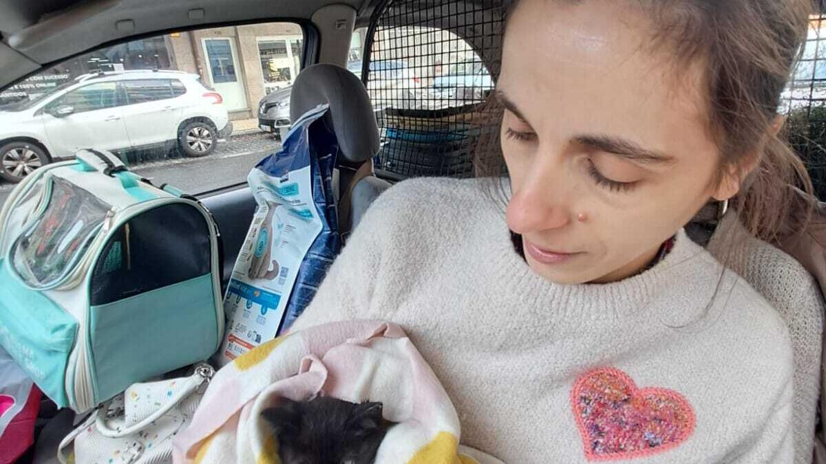 Jornal de Notícias Logo