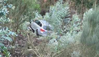 Jornal de Notícias Logo