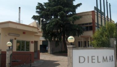 Jornal de Notícias Logo