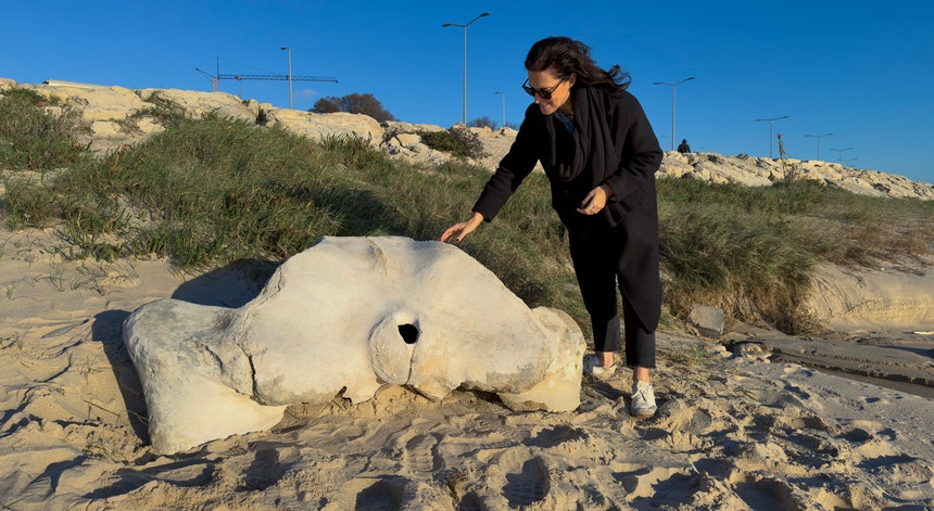 Osso de baleia com milhares de anos deu à costa em praia da Figueira da Foz