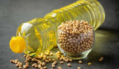 Não é só caloria: cientistas mostram por que óleo de soja engorda mais que o de coco