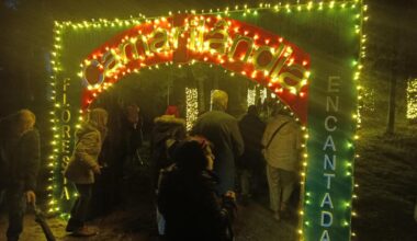 Jornal de Notícias Logo