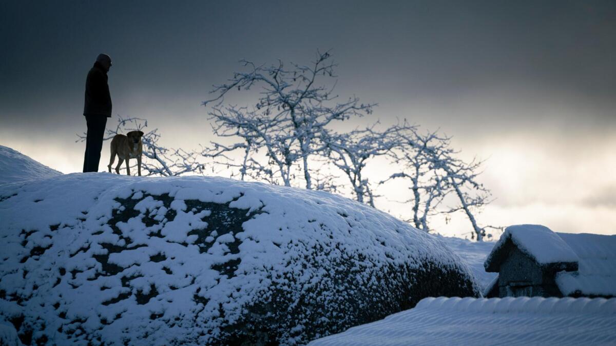 Jornal de Notícias Logo