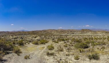 "Viciados em água": mais de 40% de Espanha em risco de desertificação