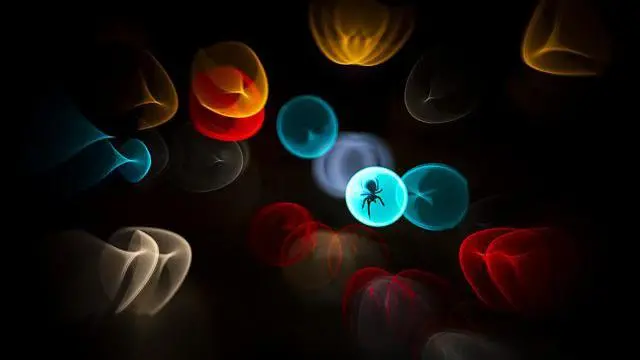 Aranha-tecelã capturada em um círculo de luz.