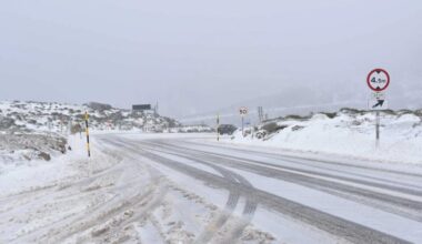 Jornal de Notícias Logo