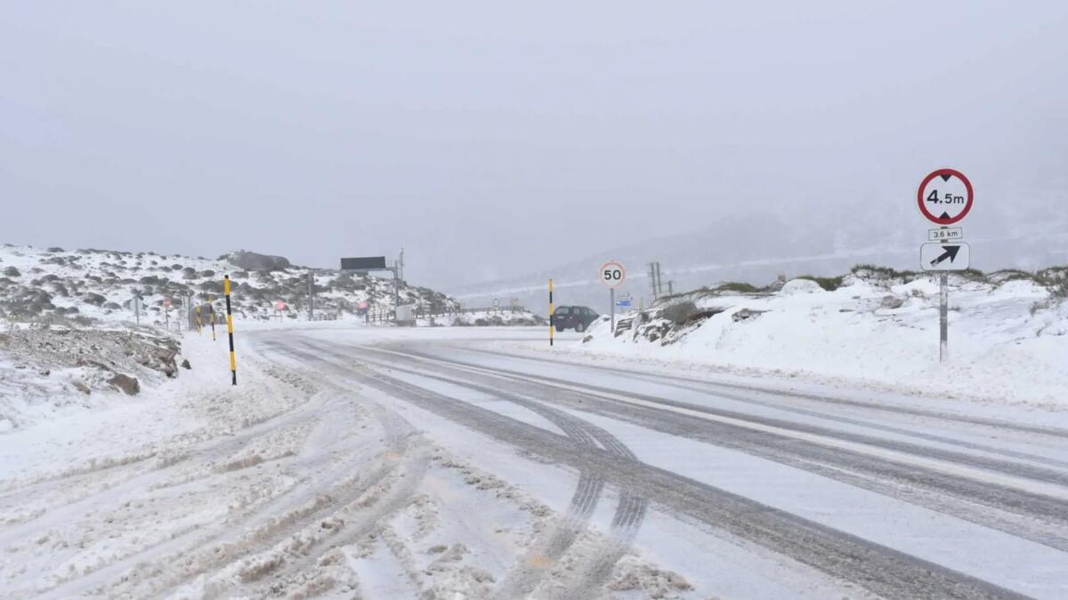 Jornal de Notícias Logo