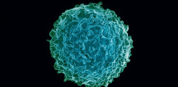 Vírus da COVID-19 manipula o RNA de célula hospedeira para desligar sistema imune