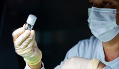 Vacina do Butantan contra a dengue reduz carga viral e pode conter transmissão da doença