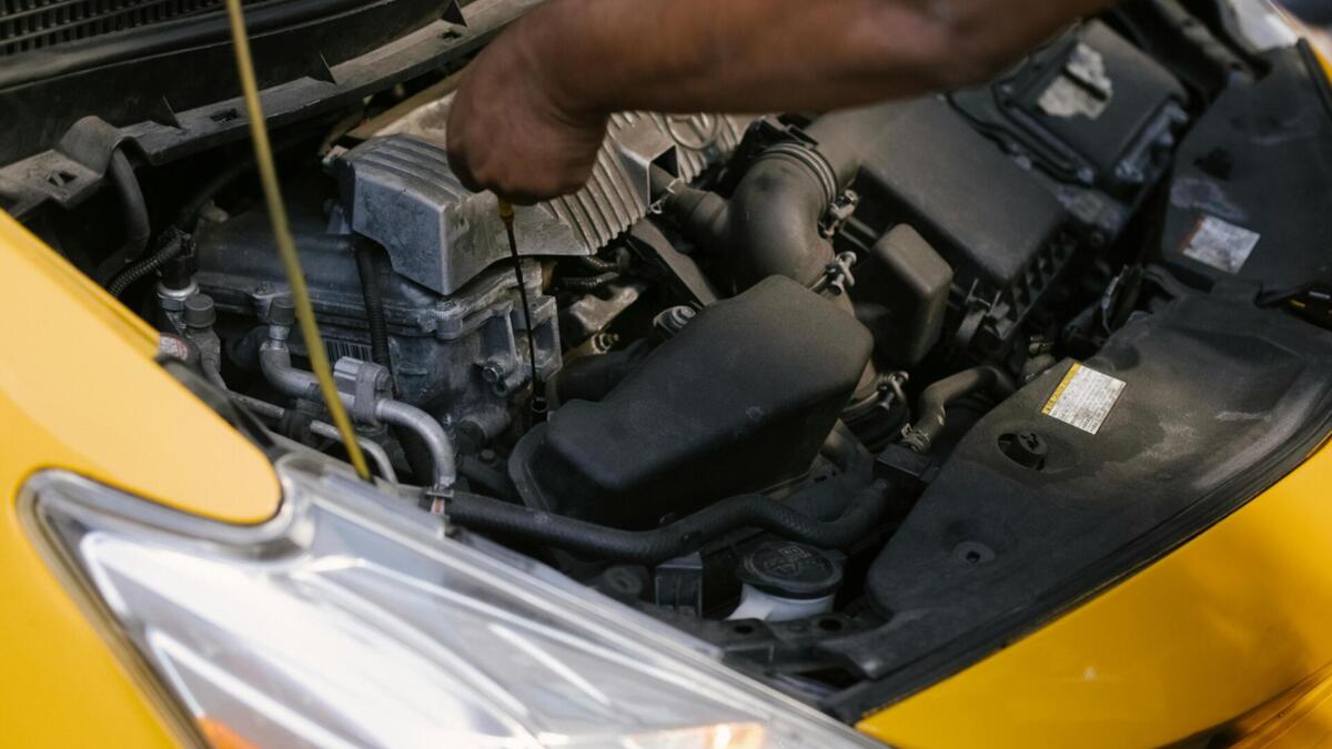 Jornal de Notícias Logo