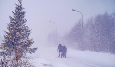 Jornal de Notícias Logo