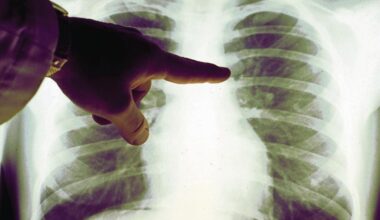 Jornal de Notícias Logo