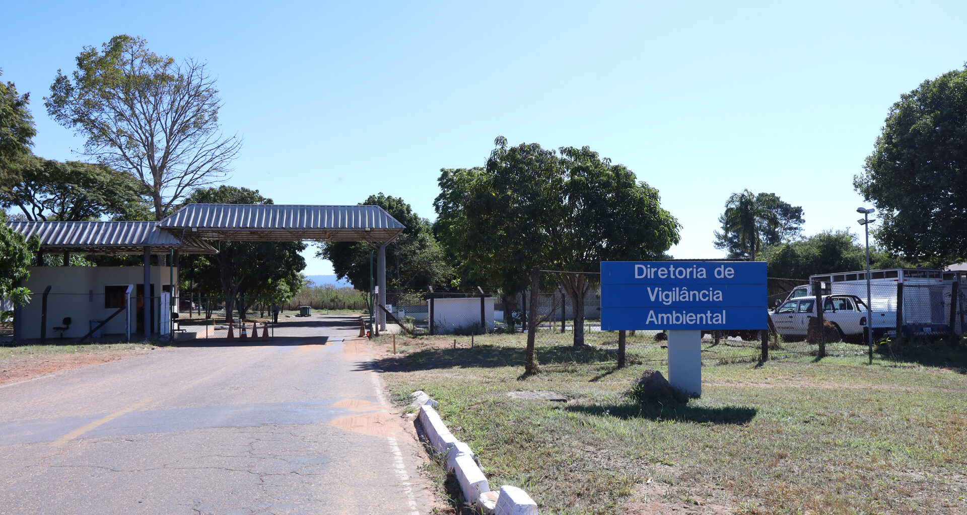 Zoonoses recolheu quase mil corpos de animais em 2025