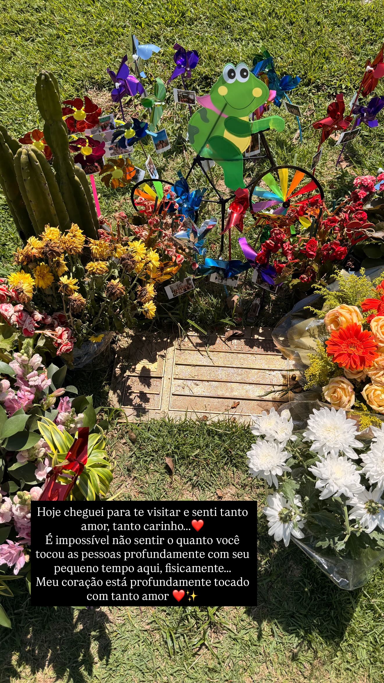 Stories de Schynaider Moura - Foto: Reprodução / Instagram