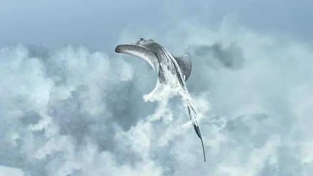 Arraias revolvem o fundo do mar agitando a areia do leito do oceano