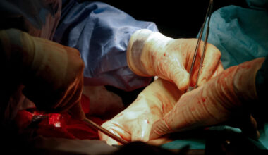 Jornal de Notícias Logo