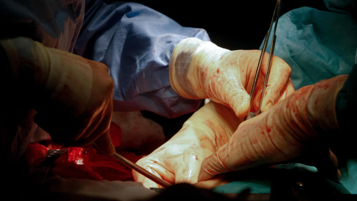 Jornal de Notícias Logo