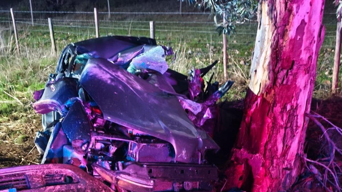 Jornal de Notícias Logo