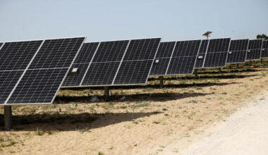 Jornal de Notícias Logo