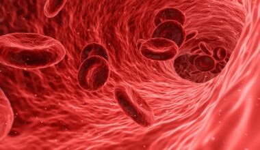 Exame ao sangue pode revelar a probabilidade de morrer na próxima década