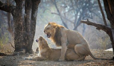 Esperança de vida humana pode aumentar até 20%. Basta interromper a reprodução